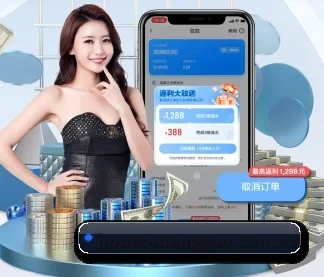全球扩展 - 注册用户突破千万级,业务版图扩展至全球多个华人聚集地区。